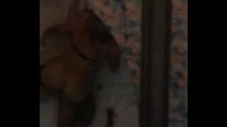 Safadinha sentando gostoso no meu pau