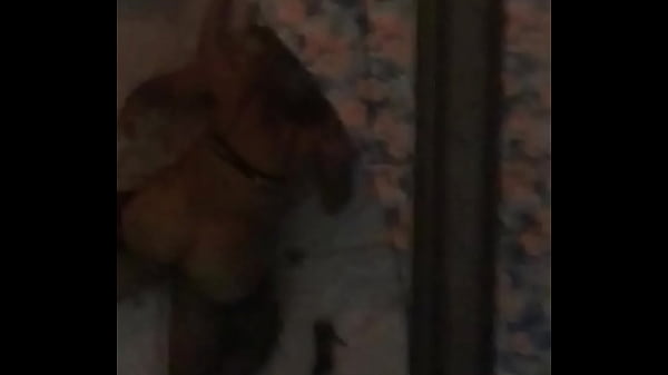 Safadinha sentando gostoso no meu pau