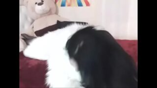 Loira puta tarada novinha da pepeka peluda