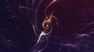 Moreninha casada amadora chifrando o casado comedor