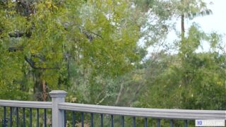 Negra muito gostosinha requebou gostosinho e apanhando na bunda